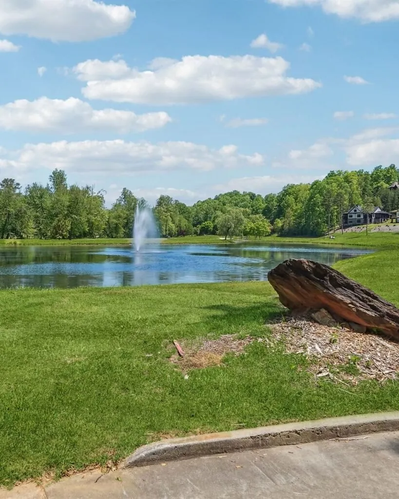 Community entrance pond at Achasta with a tall white spray fountain, framed by hardwoods, with a driftwood log on the grassy bank and a paved path in the foreground