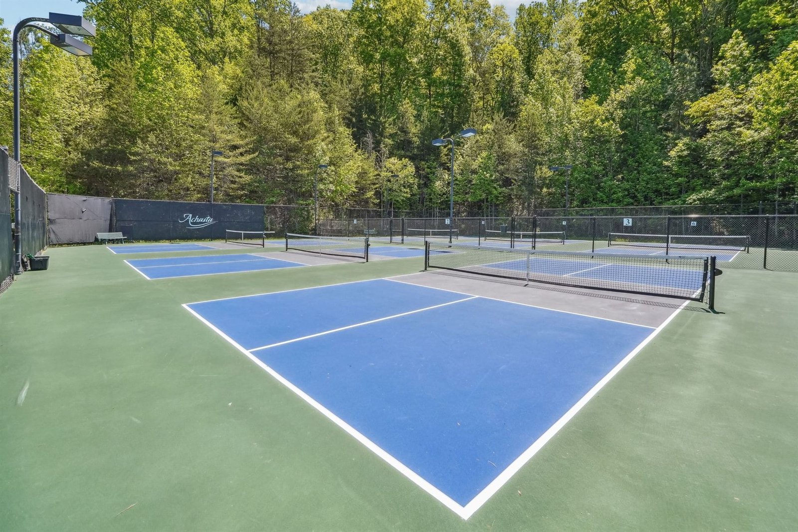 Four Achasta-branded blue pickleball courts seen at ground level with mature hardwood canopy behind